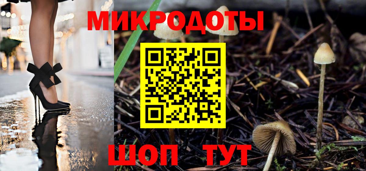 Донской  Галлюциногенные грибы мухоморы  Вход с VPN 